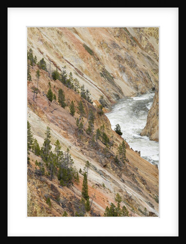 Yellowstone River in Grand Canyon of the Yellowstone by Anonymous