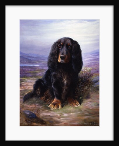 A Spaniel in the Highlands by Lilian Cheviot