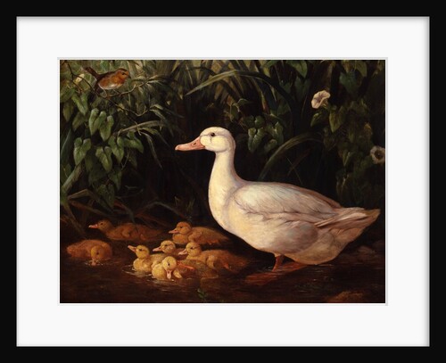 New Brood by Edward Neale