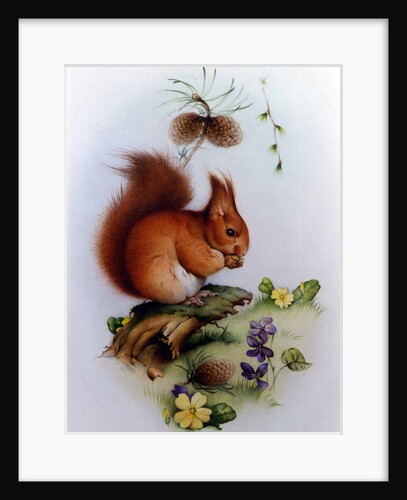 Red Squirrel with Primroses and Violets by Edward Julius Detmold
