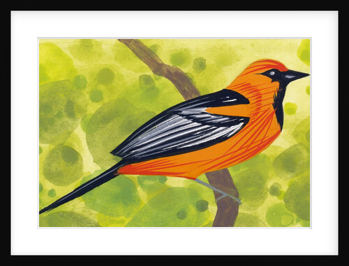 A Single Oriole by Anonymous