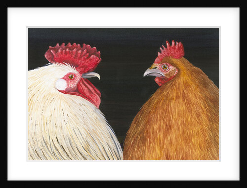 Rooster and Hen by Anonymous