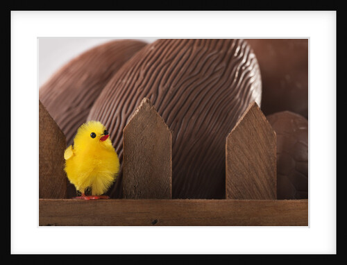 Toy chick on fence with chocolate eggs by Anonymous