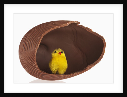 Toy chick inside hollow chocolate egg by Anonymous