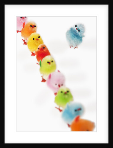 Fluffy toy chicks in a row by Anonymous