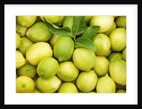 Fresh lemons by Anonymous