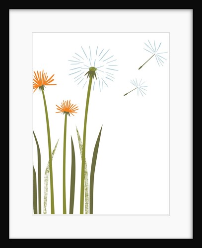 Dandelions by Anonymous