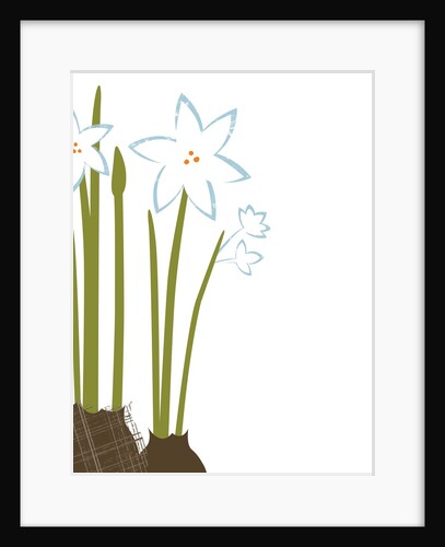 Flowers by Anonymous