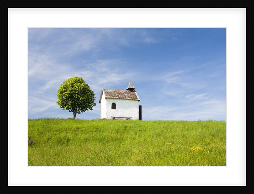 Lime tree and tiny white chapel in rural meadow by Anonymous
