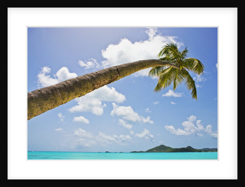 Idyllic tropical beach by Anonymous