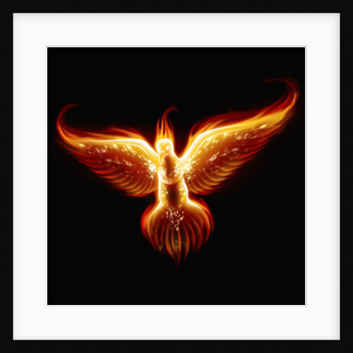 Phoenix by Anonymous