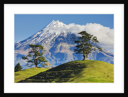 Lush hills in front of Mount Egmont by Anonymous