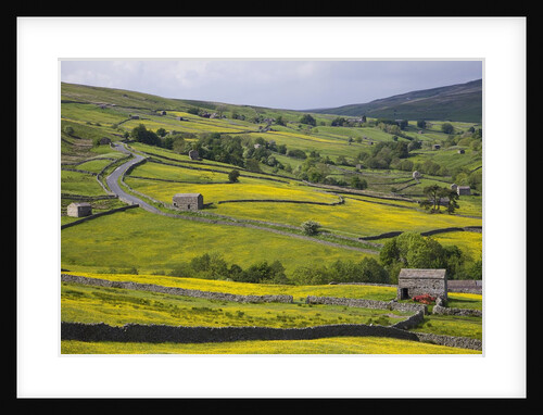 Stone barns and walls in fields by Anonymous