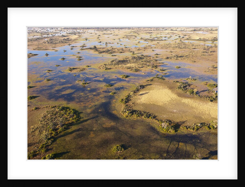 Okavango Delta by Anonymous