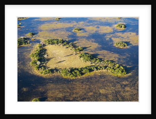 Island in Okavango Delta by Anonymous