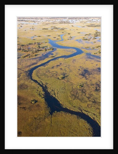Okavango River and delta by Anonymous