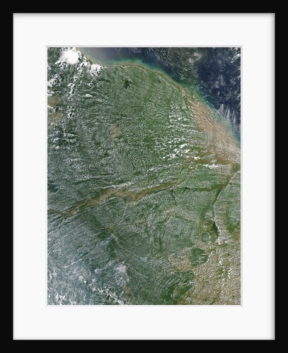 Amazon Rainforest during the dry season by Anonymous