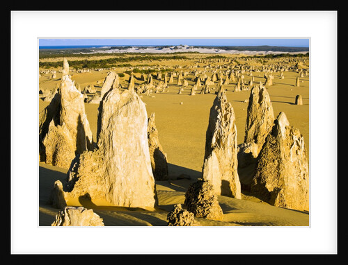 The Pinnacles in Australia by Anonymous