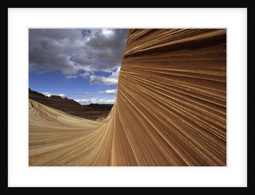The Wave sandstone formation in Coyote Buttes by Anonymous
