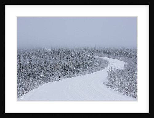 Dempster Highway in snow storm by Anonymous
