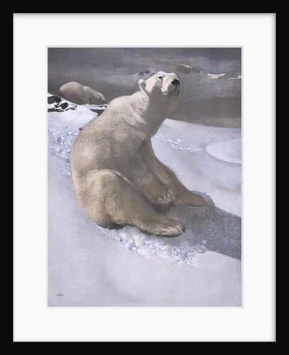 Polar bears in snow by Carl Ederer