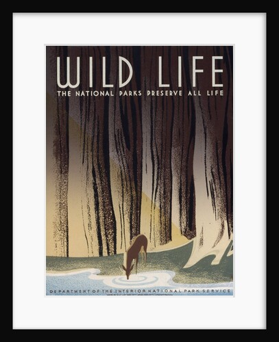 Wild Life poster by Frank S. Nicholson