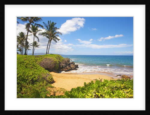 Secluded Po'olenalena Beach on Maui by Anonymous