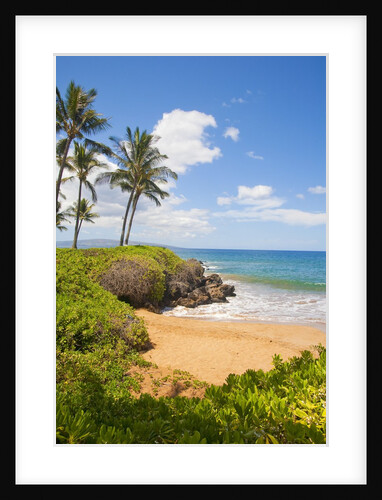 Secluded Po'olenalena Beach on Maui by Anonymous