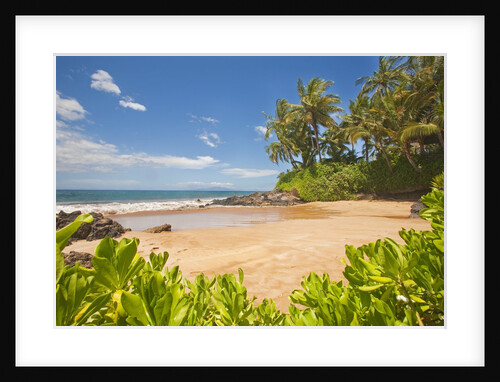 Secluded sandy beach on Maui by Anonymous