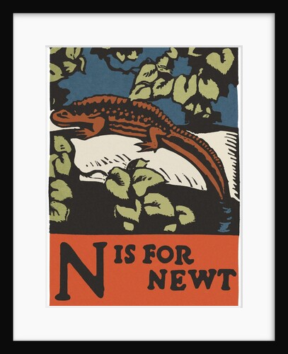 N is for newt by Anonymous