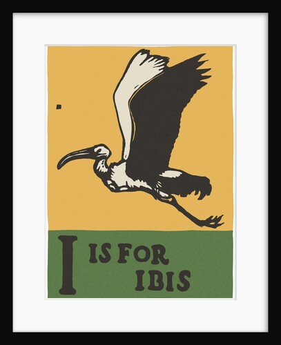 I is for ibis by Anonymous