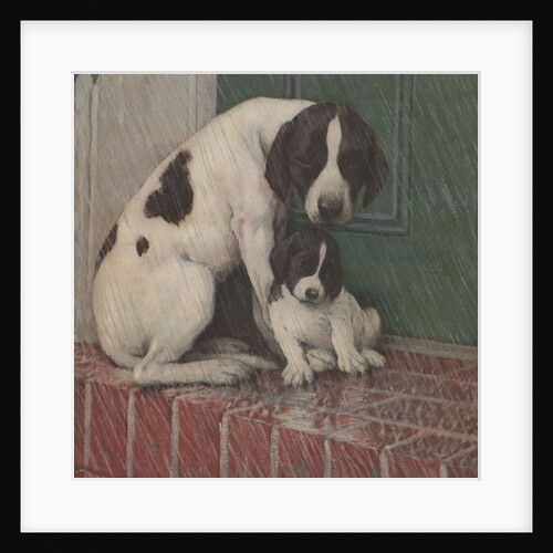Dog and puppy in rain by Anonymous