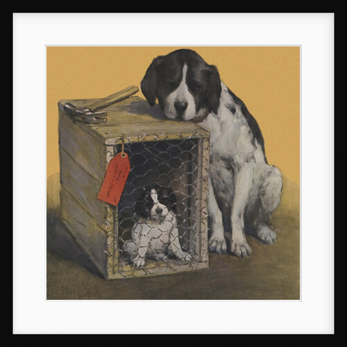 Sad mother dog with puppy in crate by Anonymous