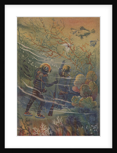 Illustration of divers underwater by Anonymous