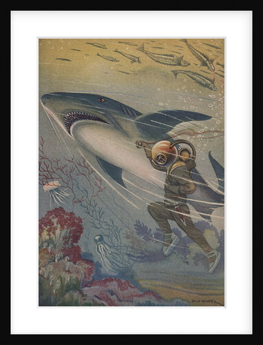 Illustration of diver with shark by Anonymous