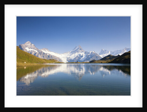 Wetterhorn , Schreckhorn and Finsteraarhorn reflecting in Lake Bachalp by Anonymous