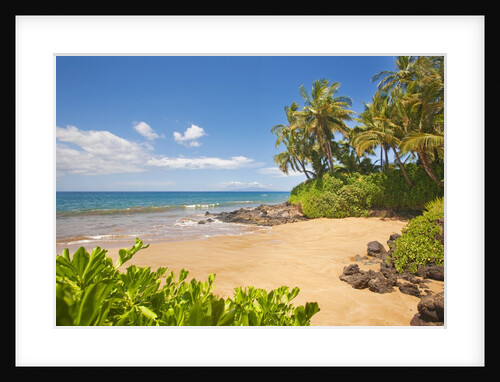 Secluded sandy beach on Maui by Anonymous