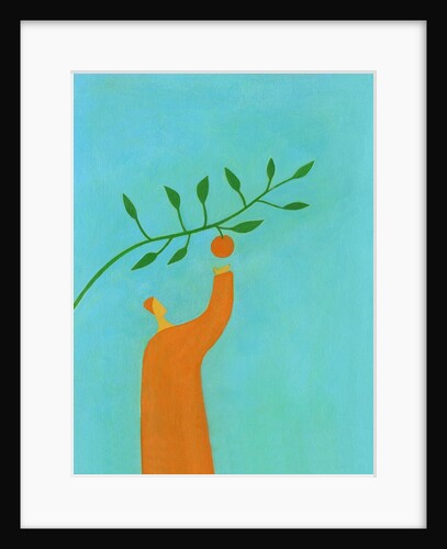 Man picking an orange by Anonymous