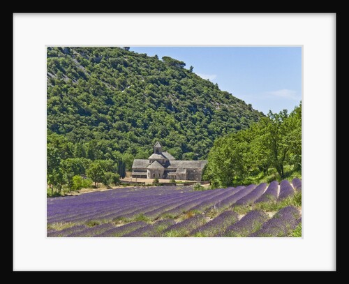 Lavender fields and Senanque Monastery by Anonymous