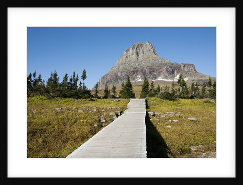 The pathway to the view of Hidden Lake by Anonymous
