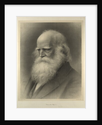 William Cullen Bryant by Anonymous