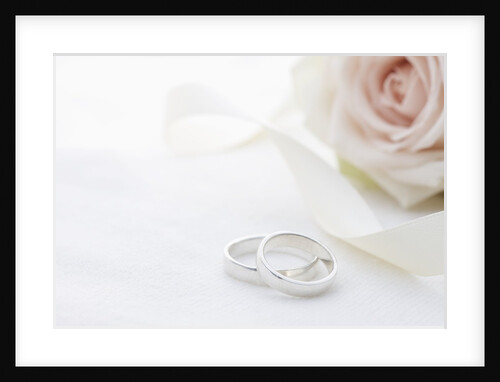 Wedding rings and flower by Anonymous