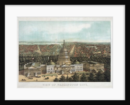 View of Washington City by Anonymous