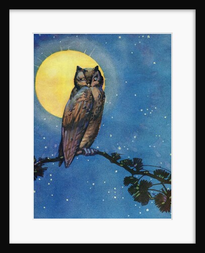 Winking owl with full moon by Anonymous