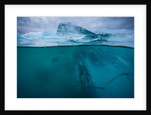 Icebergs in Jokulsarlon, Iceland by Anonymous