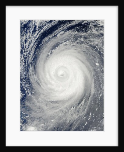 Typhoon Choi-wan by Anonymous