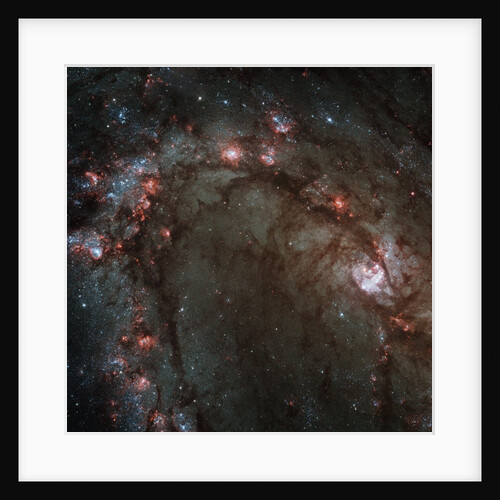 Star Birth in the Southern Pinwheel Galaxy by Anonymous