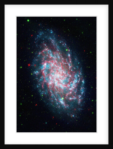 Triangulum Galaxy by Anonymous