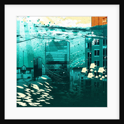 Urban fishbowl by Anonymous