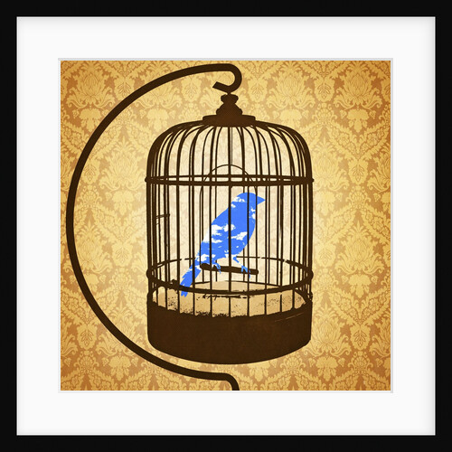 Bird in a cage by Anonymous